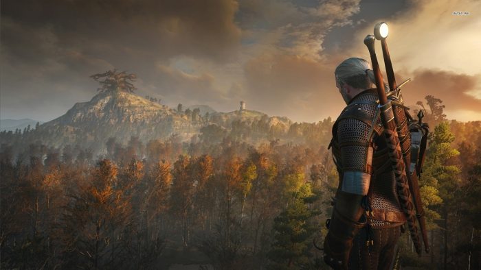 Développeur Witcher 3