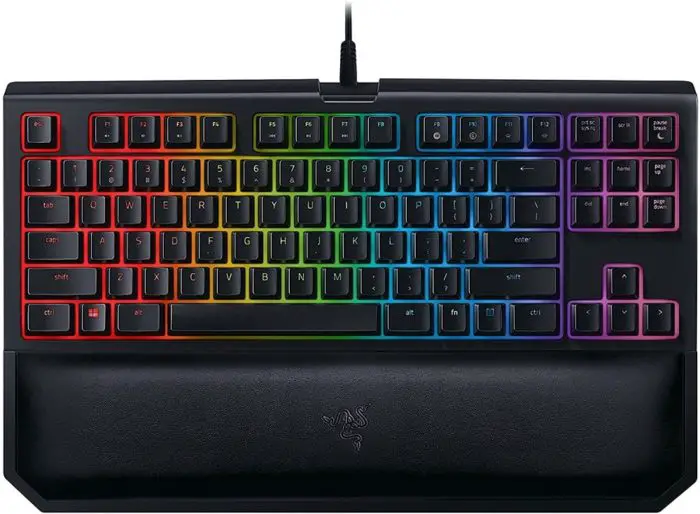 Tastiera Razer BlackWidow TE Chroma v2