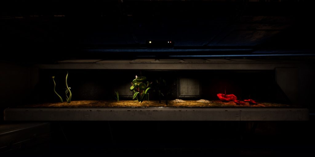 Tutte le posizioni dei semi di terrario in Jedi: Ordine caduto