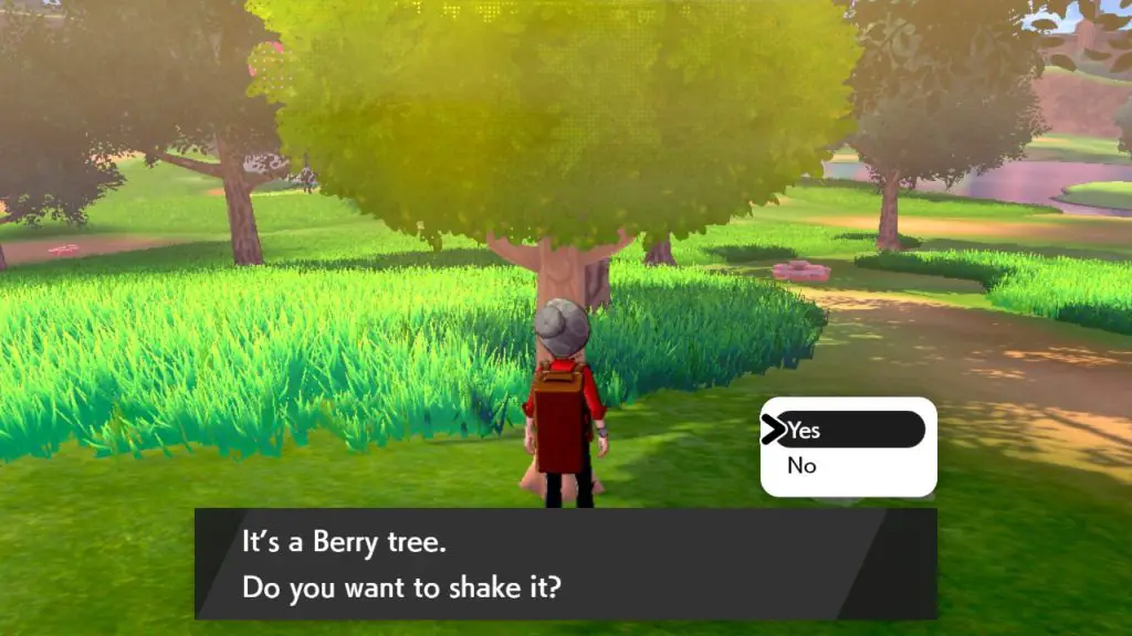 Come coltivare le bacche in Pokémon Spada e Scudo Come coltivare le bacche in Pokémon Sword and Shield