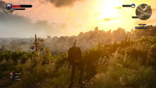 numero di picco di witcher 3