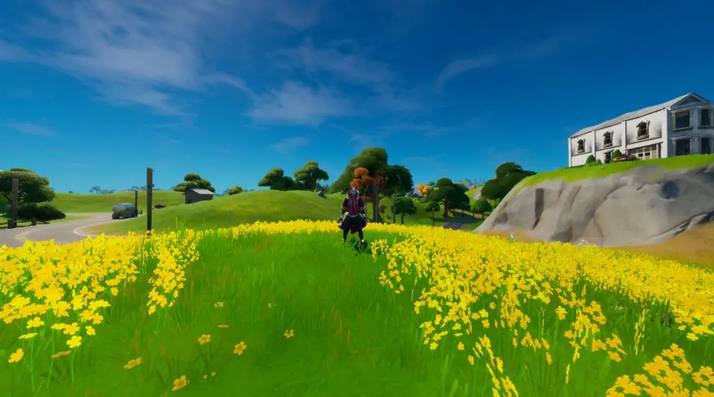 Dove cercare lo gnomo nascosto trovato tra Fancy View, una baracca di legno e una grande casa a Fortnite