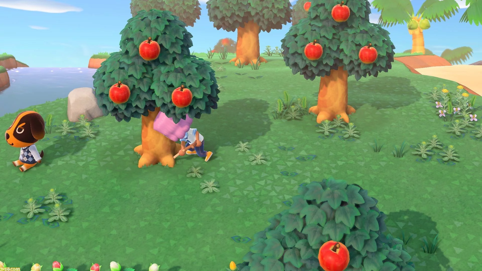 Animal Crossing: New Horizons Fruit Trees