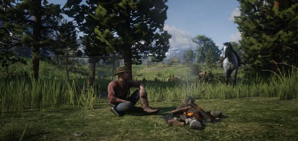 Posizioni dei campi online in Red Dead Redemption 2