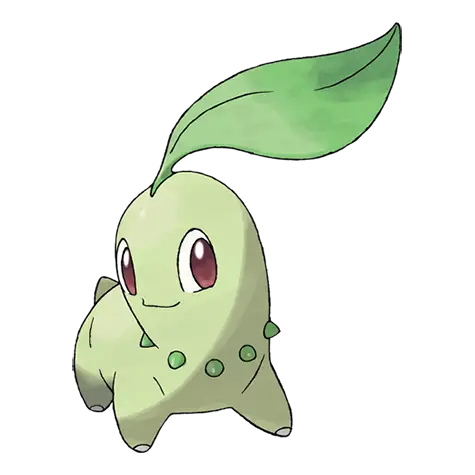 Chikorita 