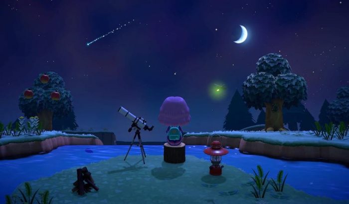 Animal Crossing New Horizons