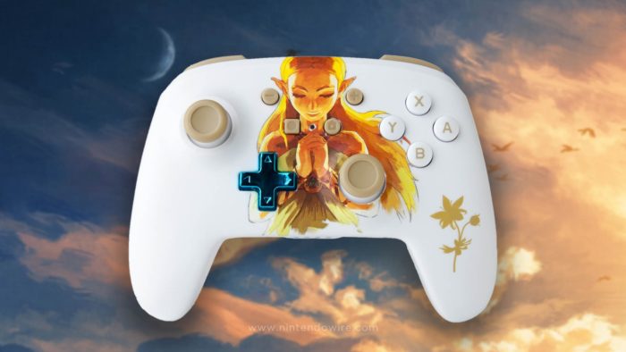 alimentare un controller princess zelda