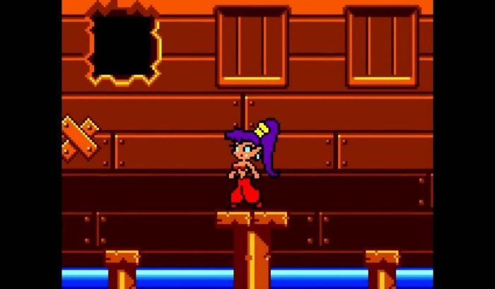 Porta per Nintendo Switch Shantae