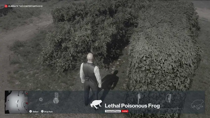 primo-rana-hitman-3-dartmoor-garden-show