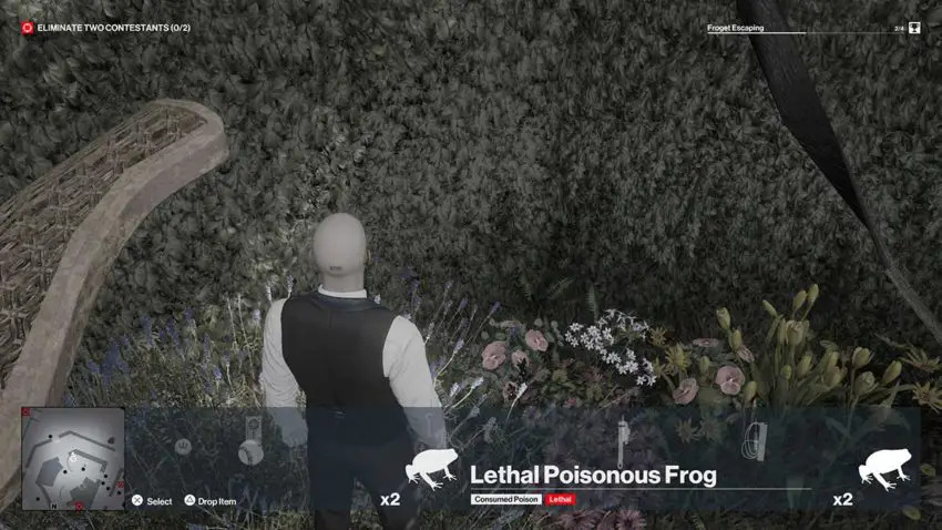 secondo-rana-hitman-3-dartmoor-garden-show