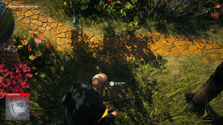 mole-hill-hitman-3-dartmoor-garden-show