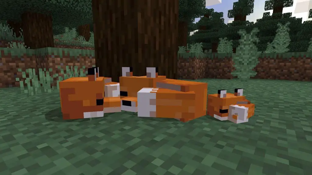 Come domare e allevare volpi in Minecraft How To Tame and Breed Foxes in Minecraft