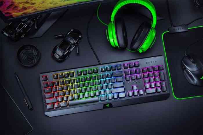 Tastiera meccanica Razer BlackWidow