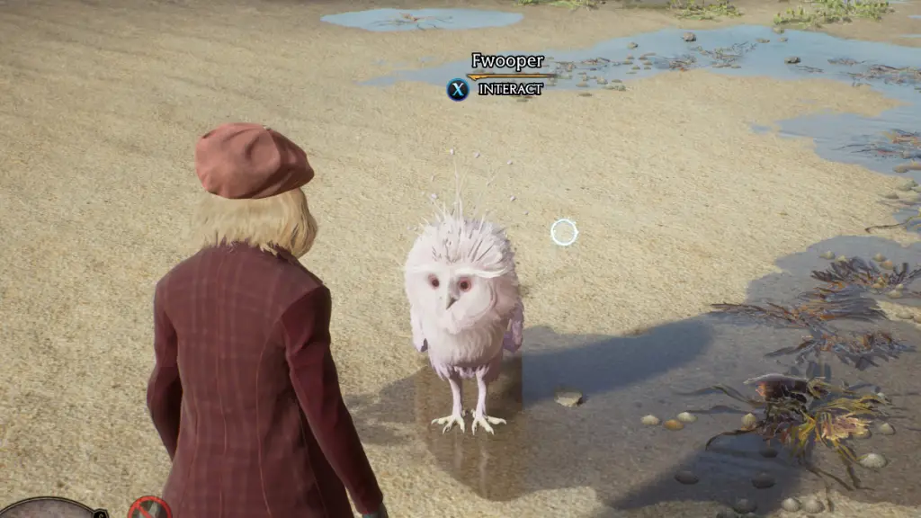 Brillante Fwooper in Hogwarts Legacy