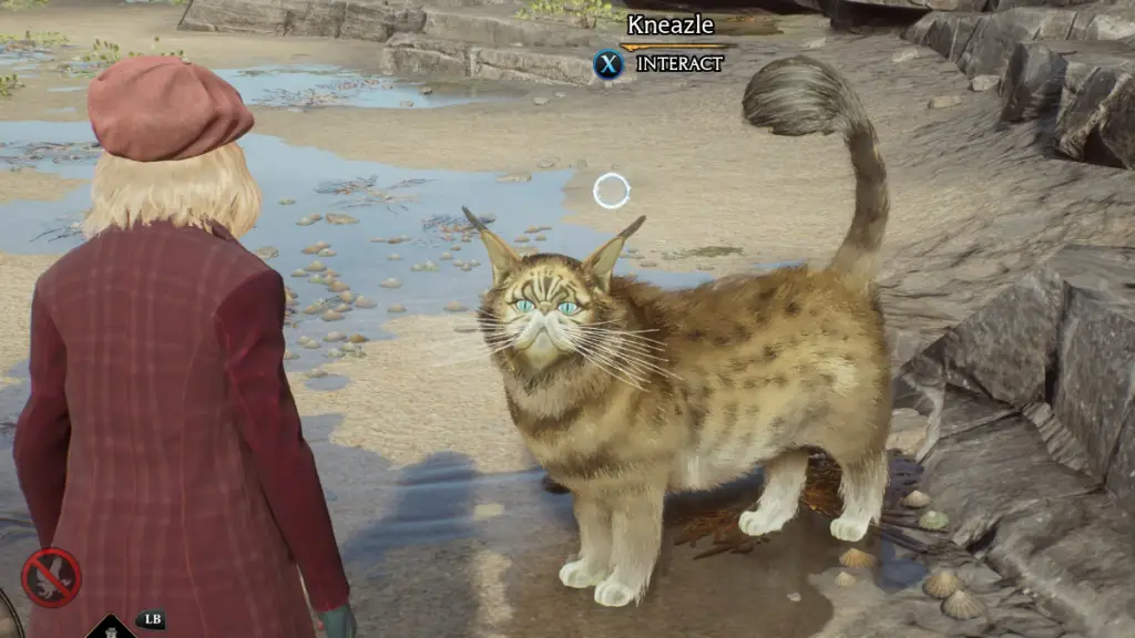Shiny Kneazle nell'eredità di Hogwarts