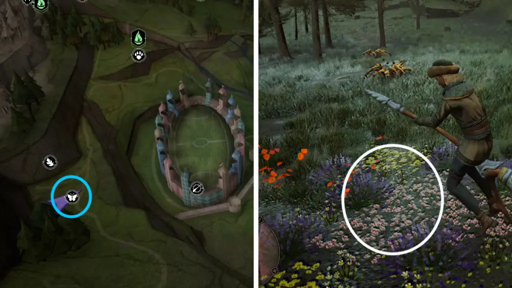 Posizione farfalla 5 in Hogwarts Legacy