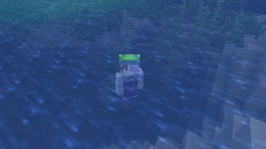 Nuotare sott'acqua in Minecraft