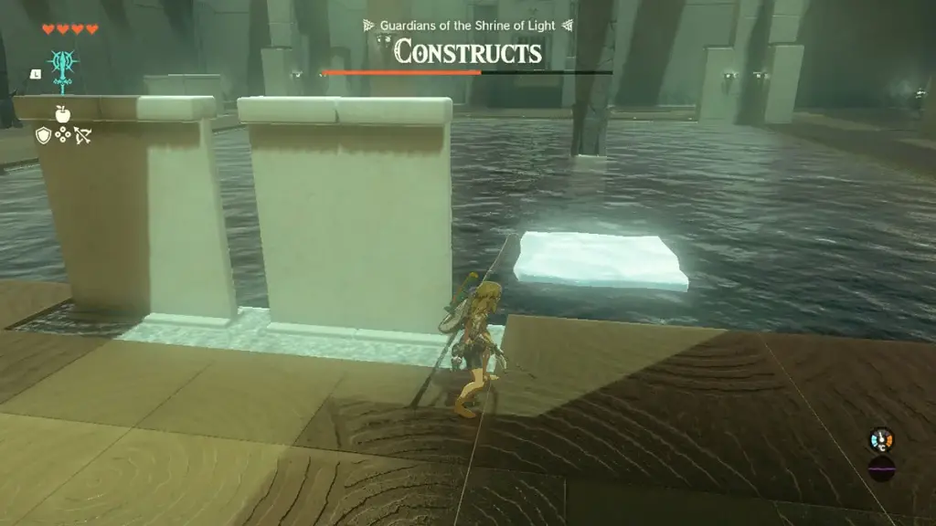 piattaforma-congelata-la-leggenda-di-zelda-lacrime-del-regno
