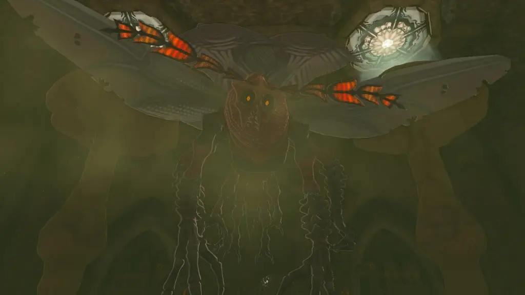 The Legend of Zelda Tears of the Kingdom Queen Gibdo Fase 2 Volo