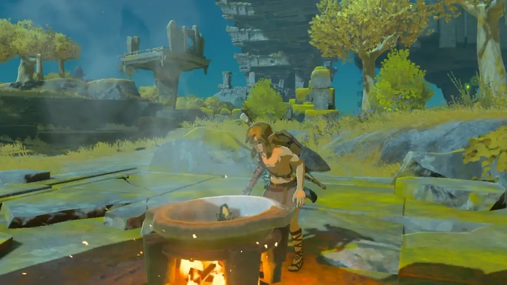 Tears of the Kingdom Link Pentola da cucina
