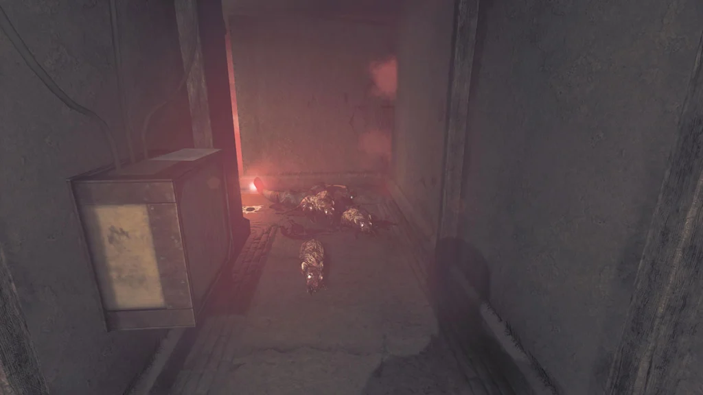 ratti che corrono nell'amnesia nel bunker