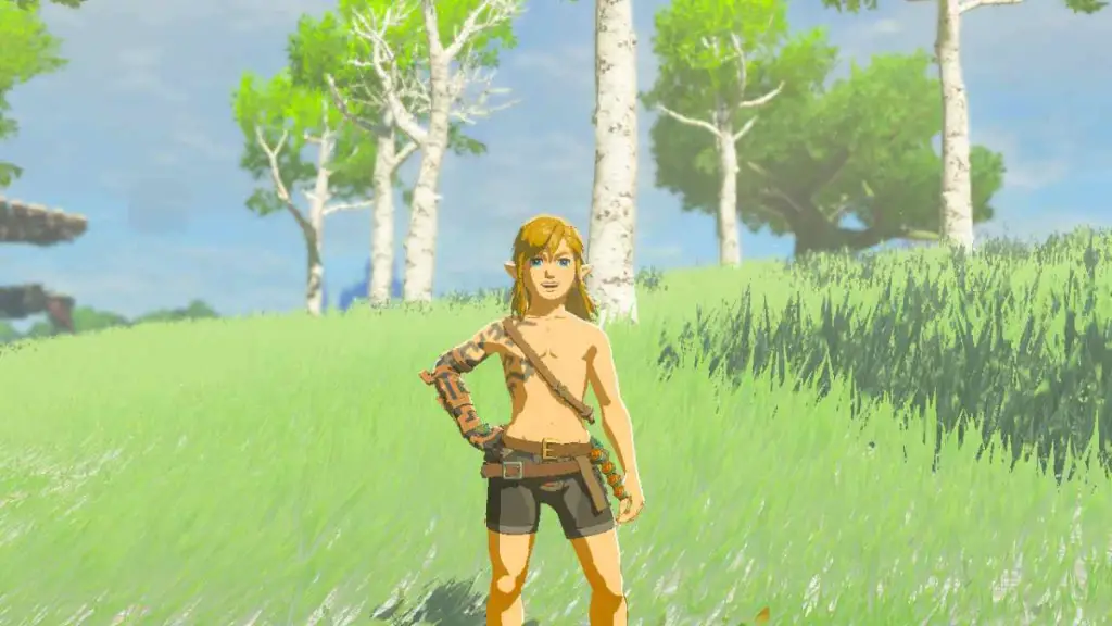 Il fan di TotK scandalizza gli NPC di Hyrule con Naked Link