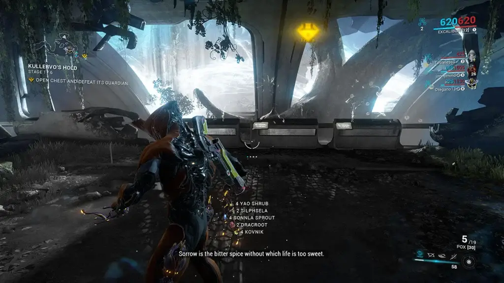 warframe-nel-dormizon-in-due-in-warframe
