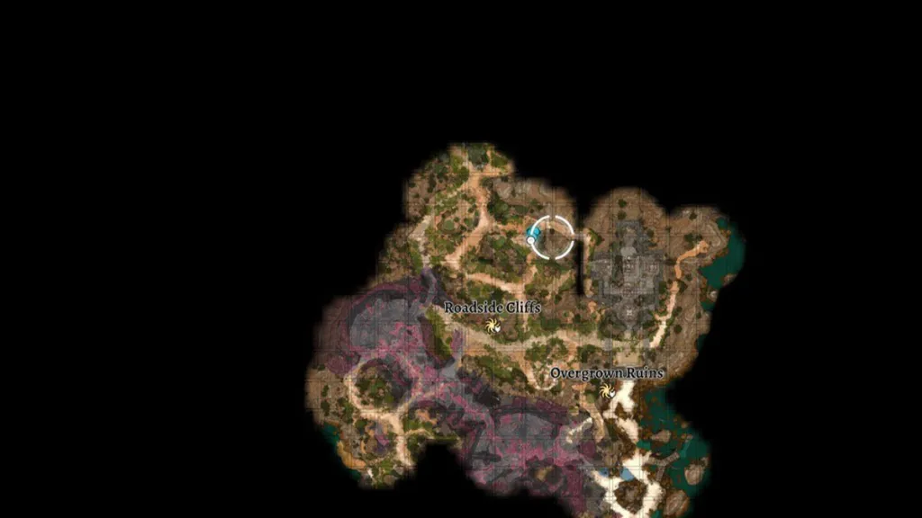 lae-zel-location-in-baldurs-gate-3-riferimento-mappa