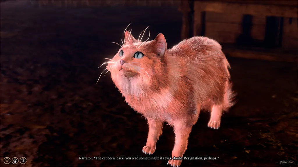 Puoi fidarti del gatto di Yenna, Grub