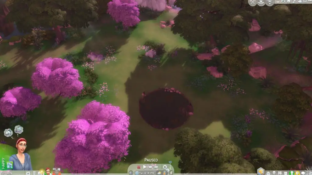 How to Find the Hidden Sylvan Glade in Sims 4