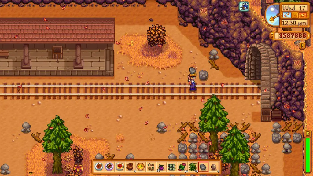 Stardew Valley Stone ai binari del treno