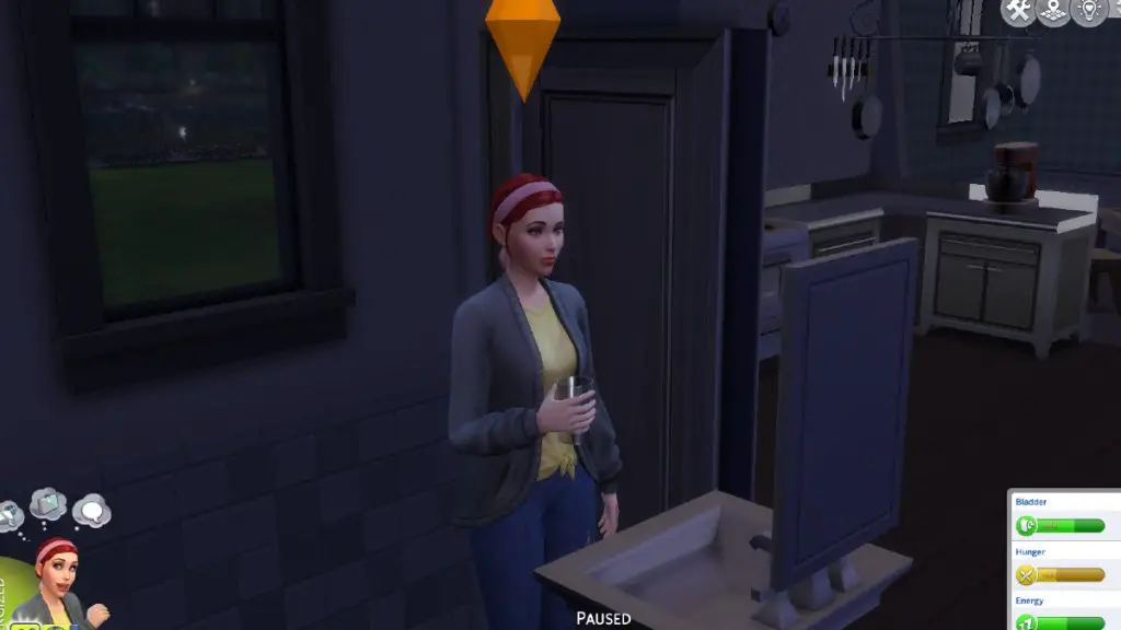 Contemplando un bicchiere d'acqua Sims