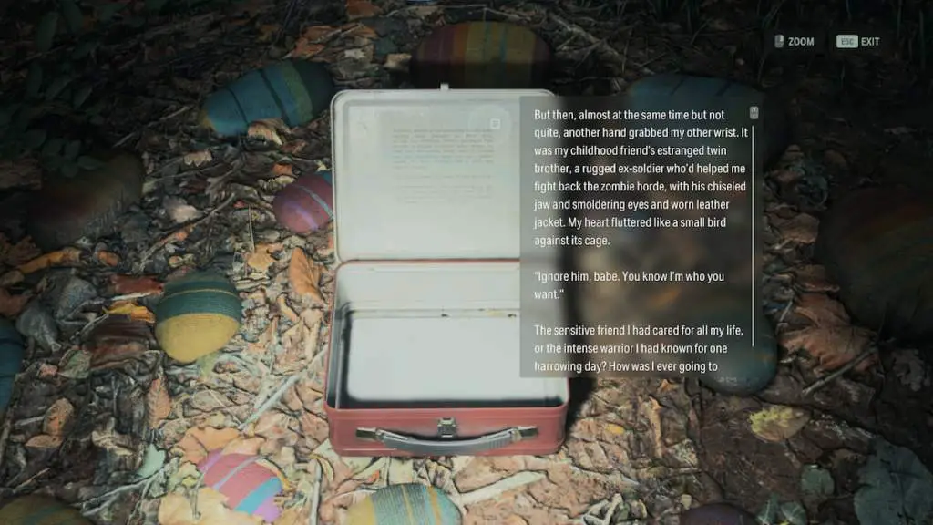 Dove trovare tutte le posizioni dei contenitori per il pranzo acquoso in Alan-Wake-2