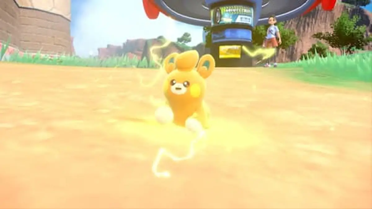 Pawmi corre