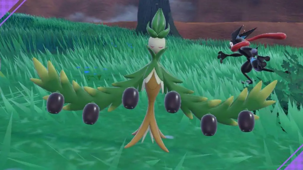 pokemon scarlatto viola arboliva lucido