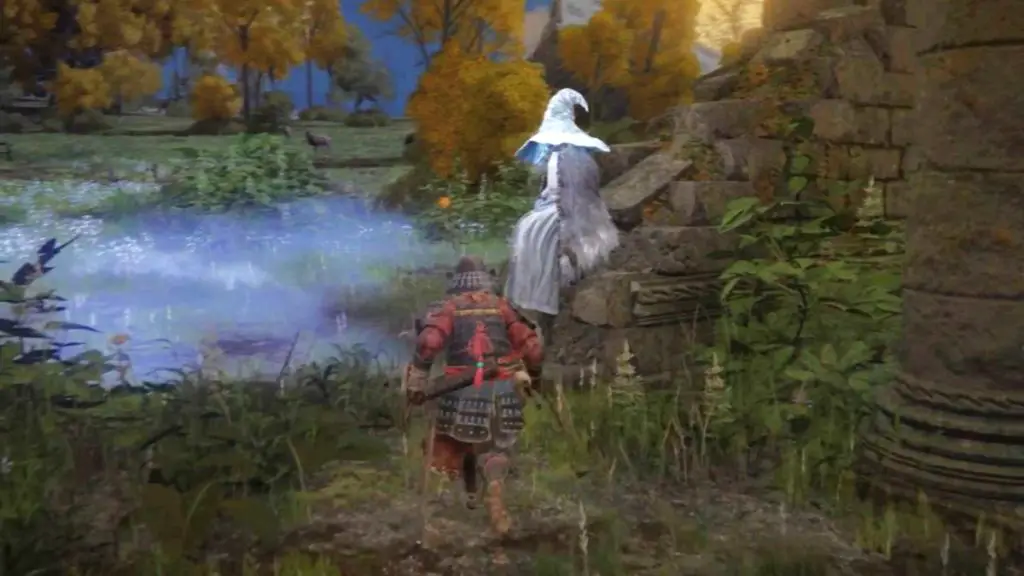 Perché Renna la strega non appare o non si genera in Elden Ring? Why Is Renna The Witch not Appearing or Spawning in Elden Ring?