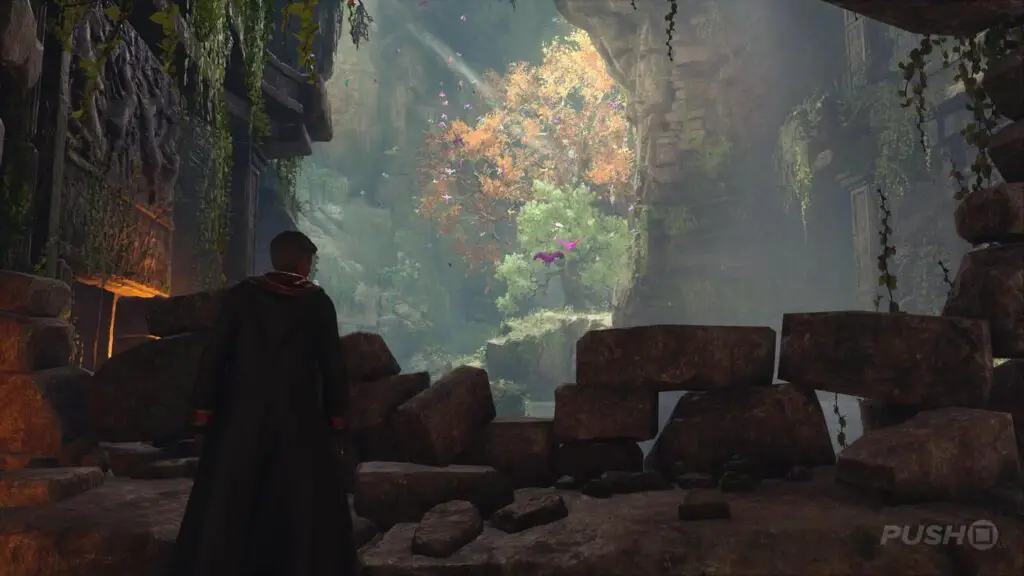 Hogwarts Legacy: Il Centauro e la Pietra Soluzione Hogwarts Legacy: Il Centauro e la Pietra Soluzione