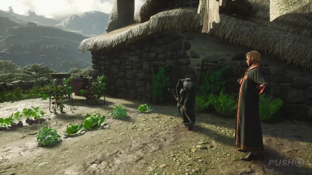 Hogwarts Legacy: Soluzione del Custode del Fratello