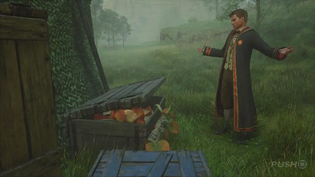 Hogwarts Legacy: Soluzione di Cavolo Rapito