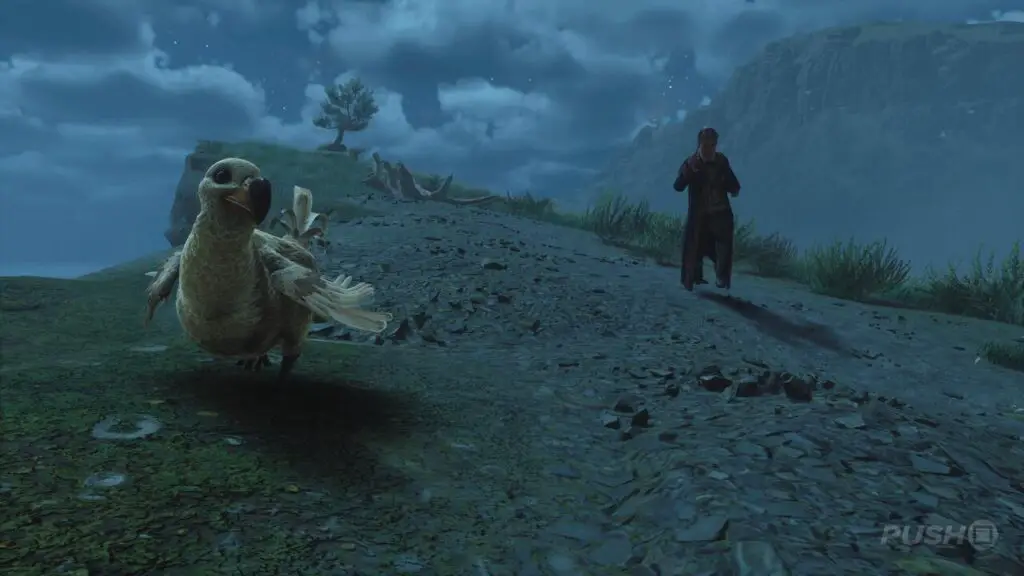 Hogwarts Legacy: Soluzione Birds of a Feather