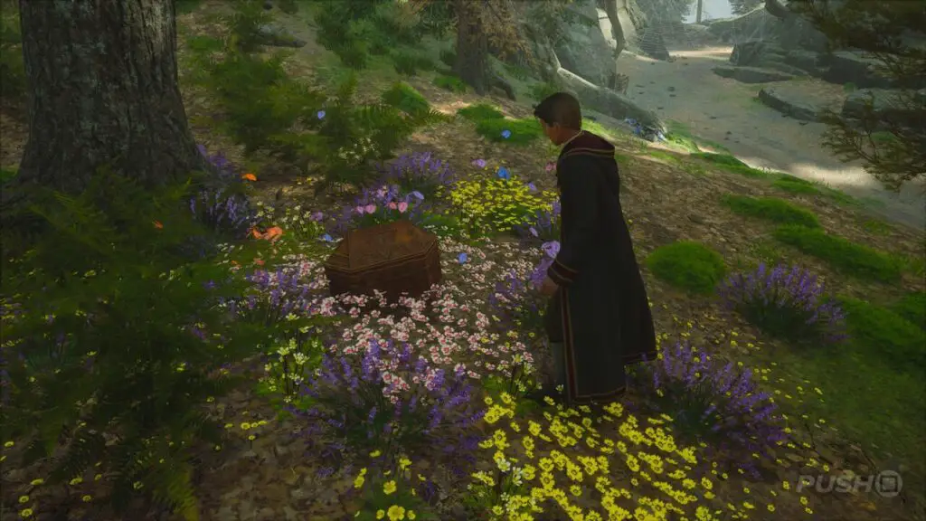 L’eredità di Hogwarts: segui la soluzione dettagliata di Butterflies L'eredità di Hogwarts: segui la soluzione dettagliata di Butterflies