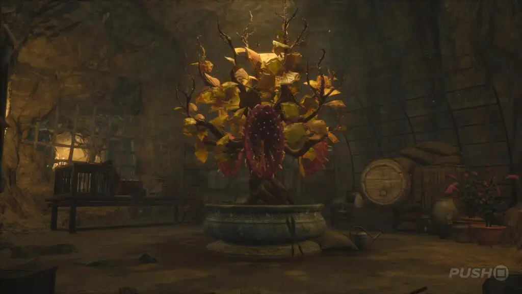 Soluzione Hogwarts Legacy: Vendetta Velenosa