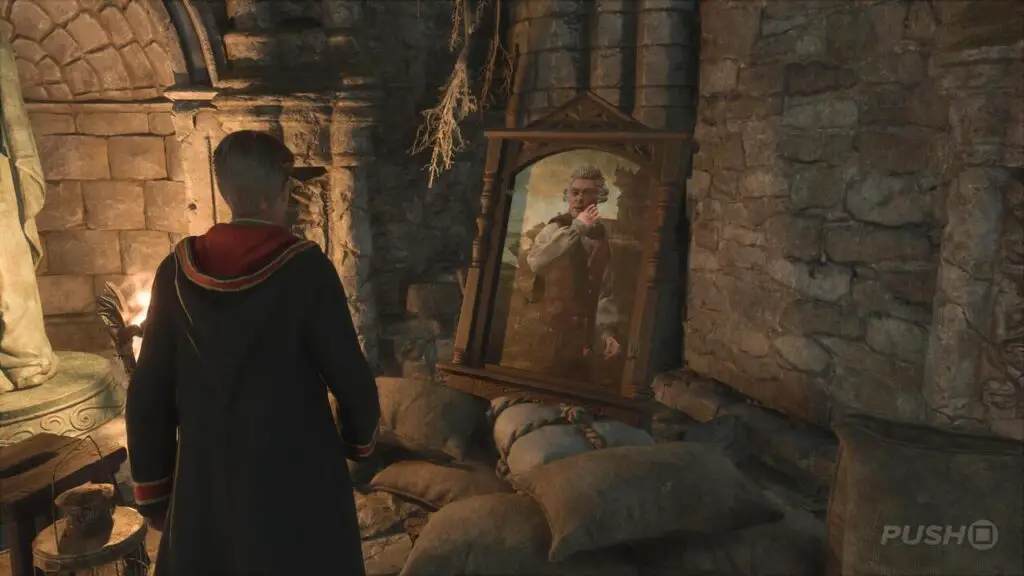 L’eredità di Hogwarts: Ritratto in una soluzione Pickle L'eredità di Hogwarts: Ritratto in una soluzione Pickle