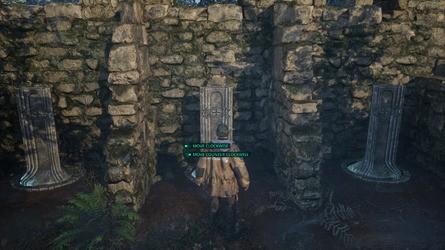 Inferno è noi: come aprire le porte del sotterraneo in Senedra Forest 8