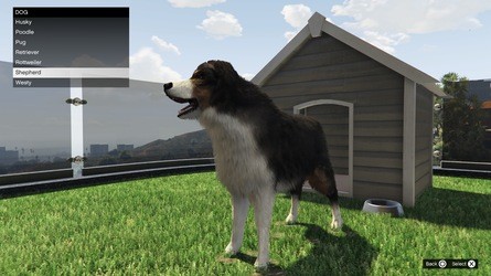 GTA Online: come avviare un rifugio sulle colline e le migliori ville da acquistare 16