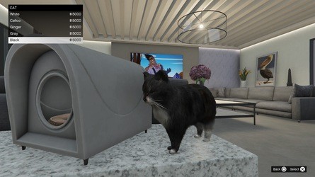 GTA Online: come avviare un rifugio sulle colline e le migliori ville da acquistare 17